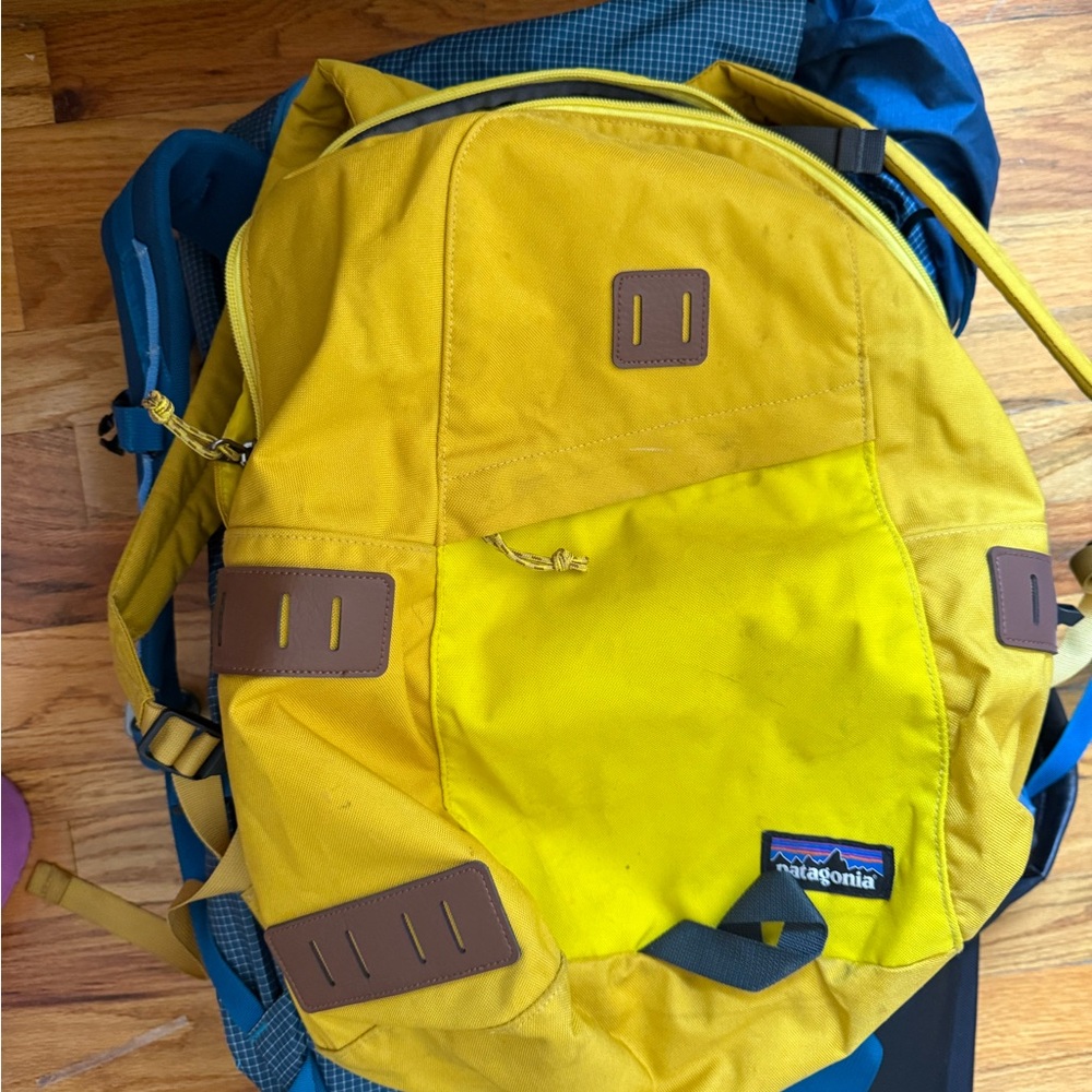 Patagonia Yellow and Blue Men's Backpack